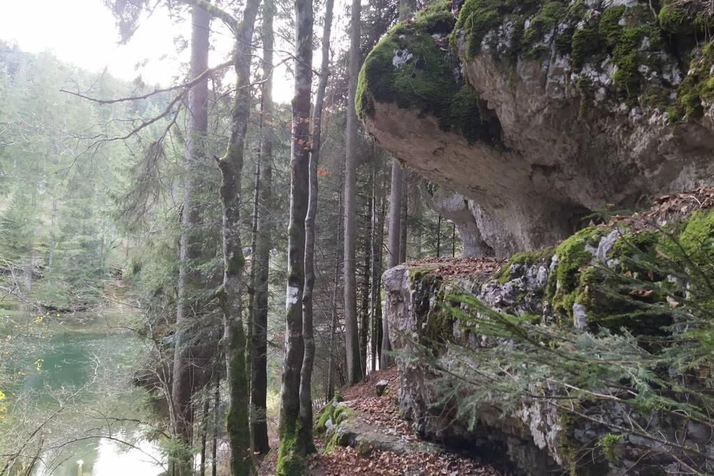 Gite Du Fourperet-Parc Naturel Du Haut-Jura Longevilles-Mont-d'Or Exterior photo